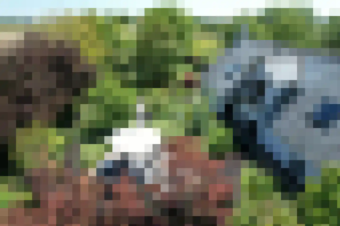 Schenkeldijk 9 Dinteloord thumbnail 42