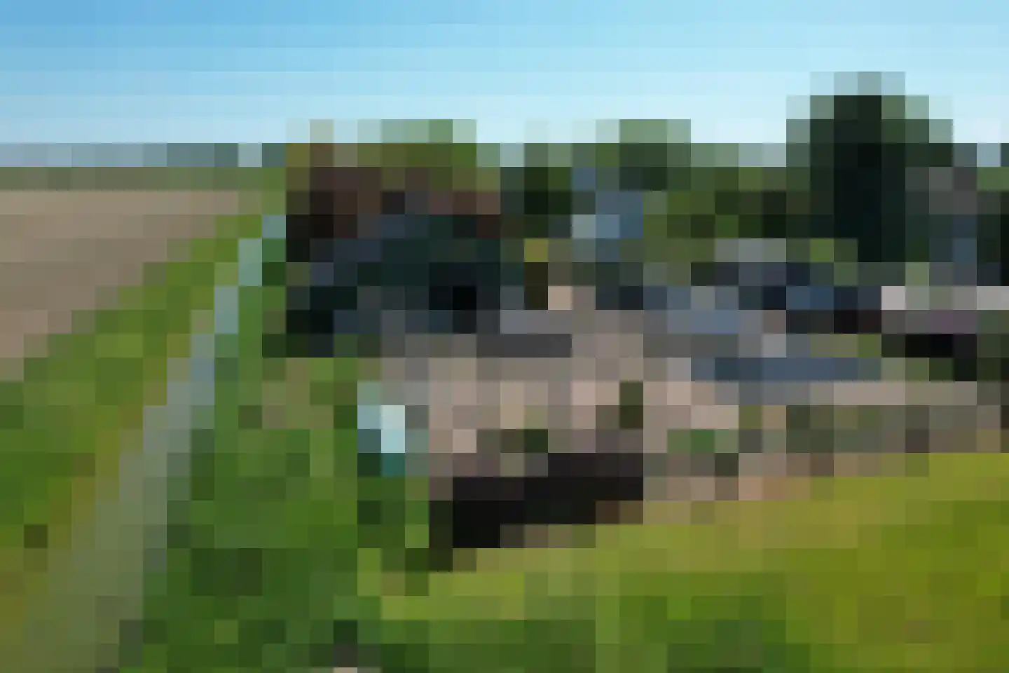 Schenkeldijk 9 Dinteloord thumbnail 43