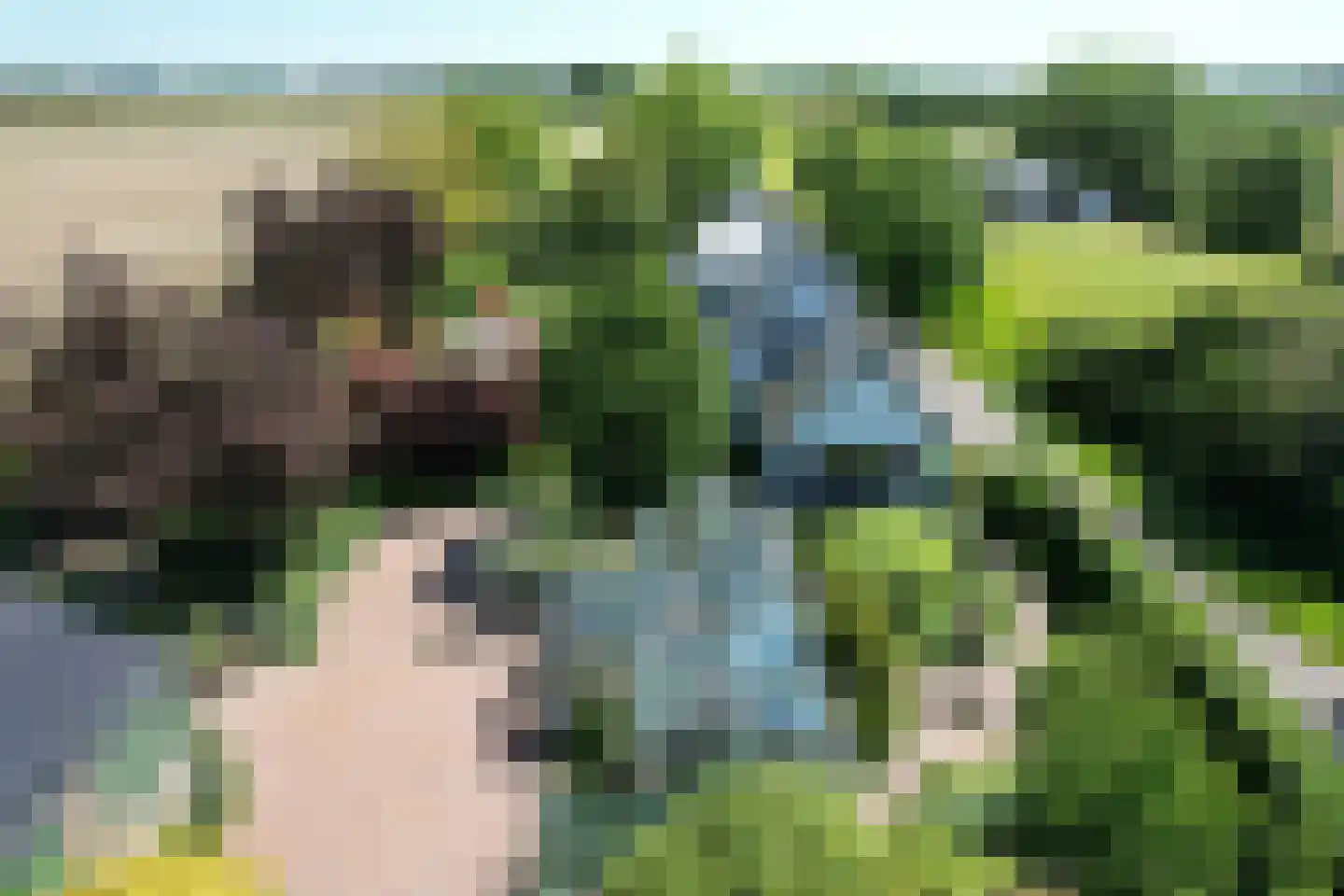 Schenkeldijk 9 Dinteloord thumbnail 45