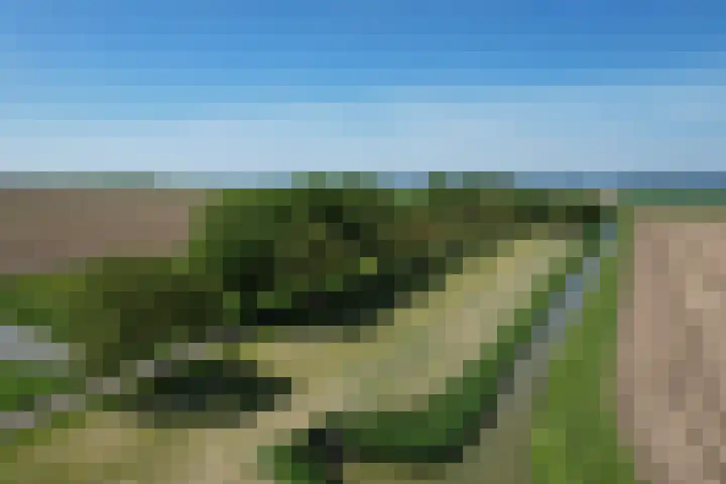 Schenkeldijk 9 Dinteloord thumbnail 46