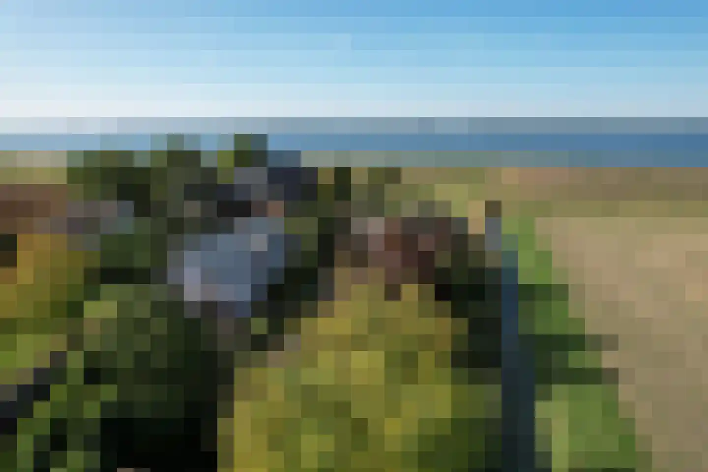 Schenkeldijk 9 Dinteloord thumbnail 47