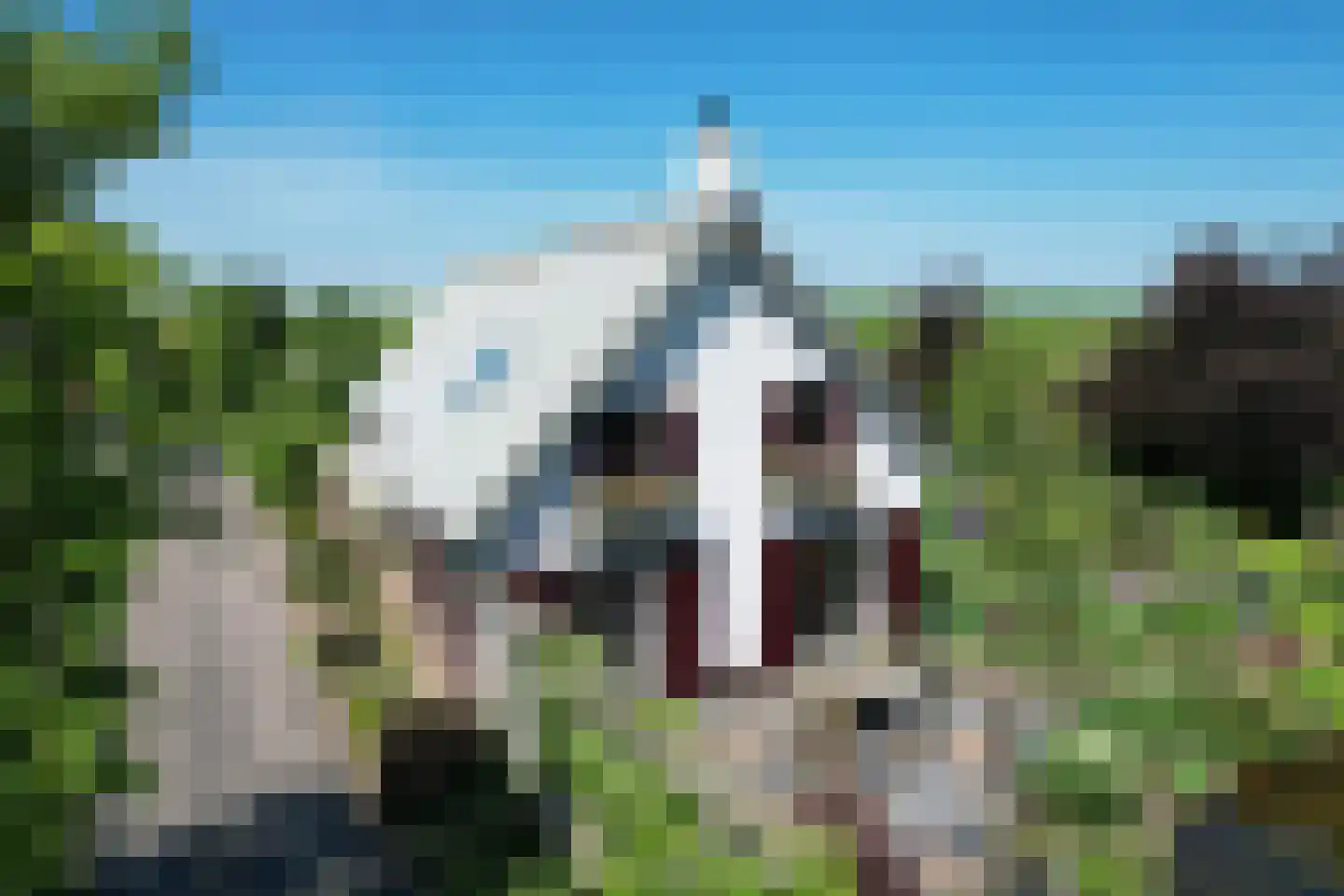 Schenkeldijk 9 Dinteloord thumbnail 48
