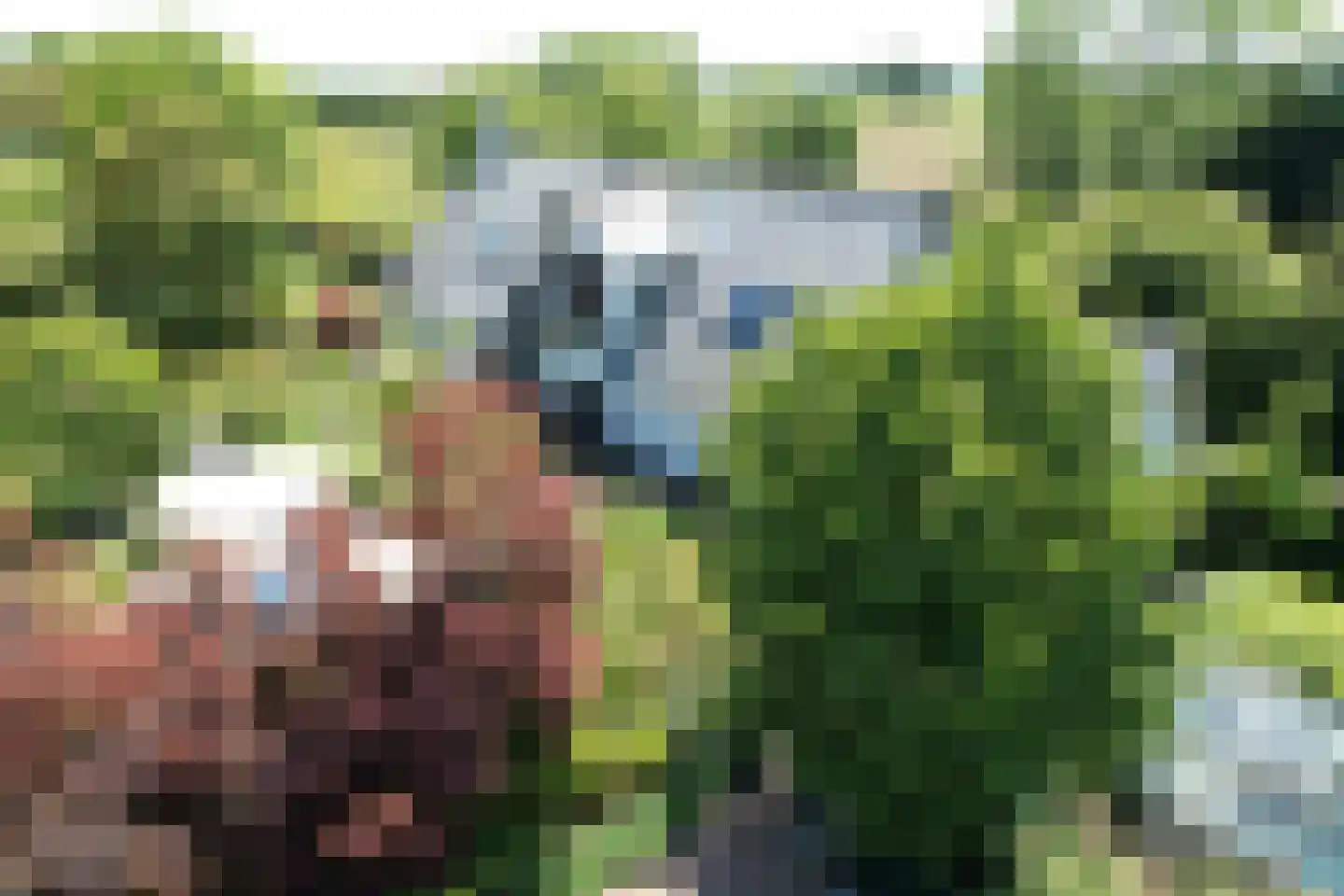 Schenkeldijk 9 Dinteloord thumbnail 50