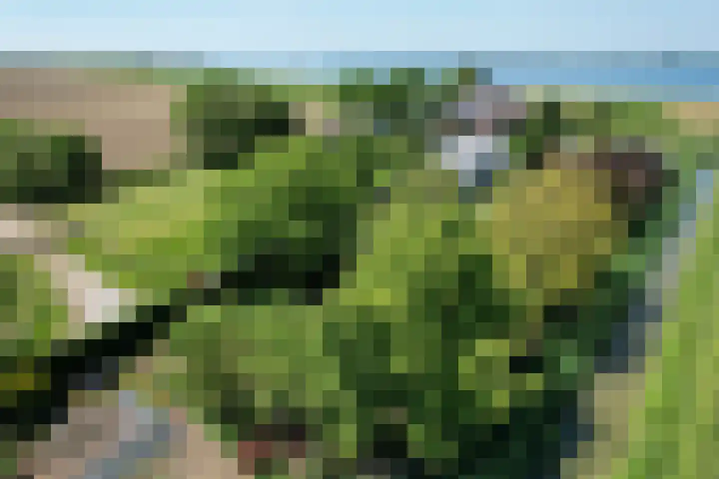 Schenkeldijk 9 Dinteloord thumbnail 51