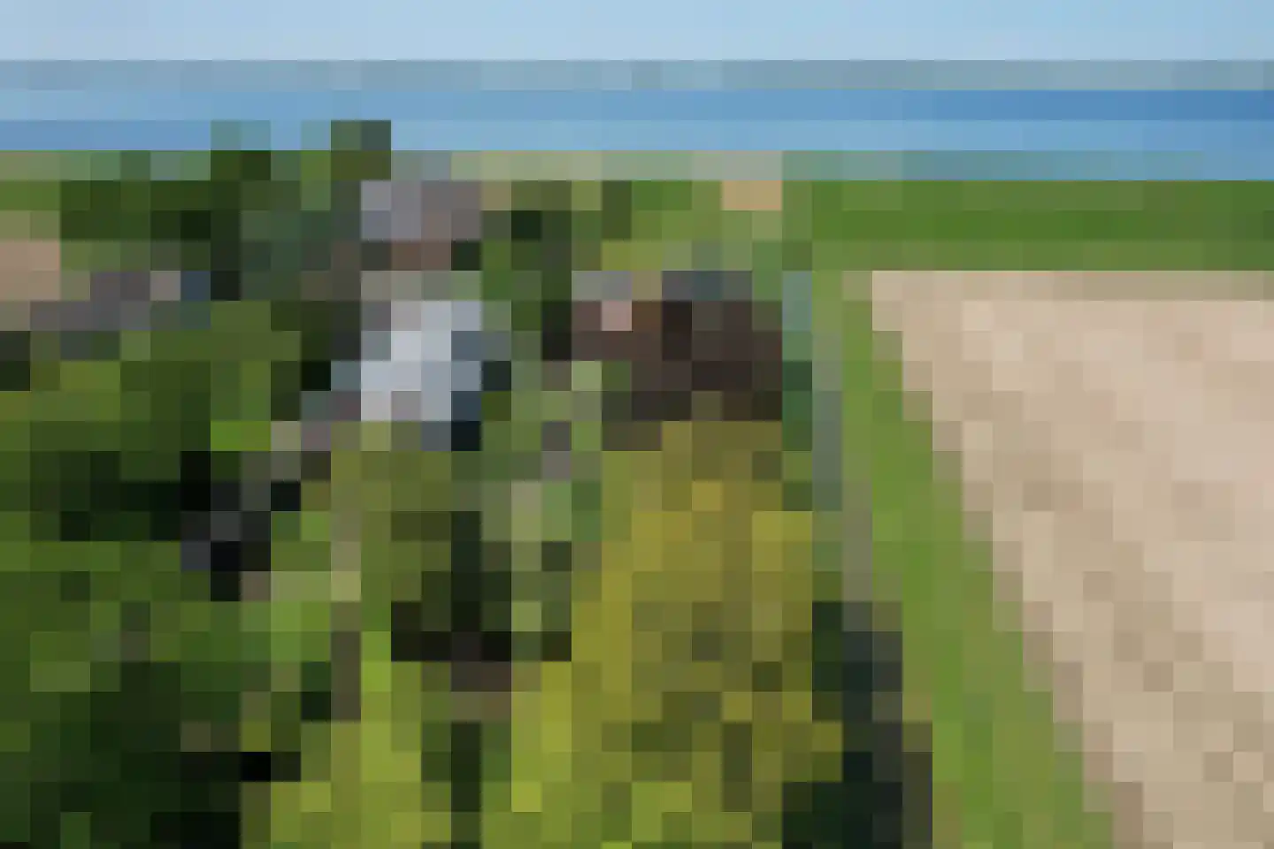 Schenkeldijk 9 Dinteloord thumbnail 53