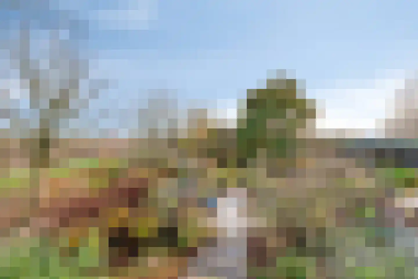 Schenkeldijk 9 Dinteloord thumbnail 54