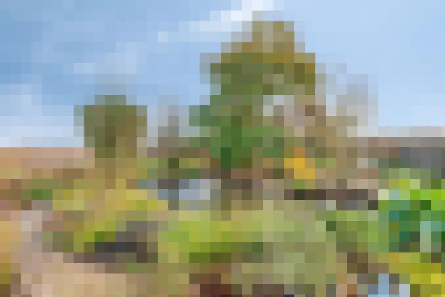 Schenkeldijk 9 Dinteloord thumbnail 55