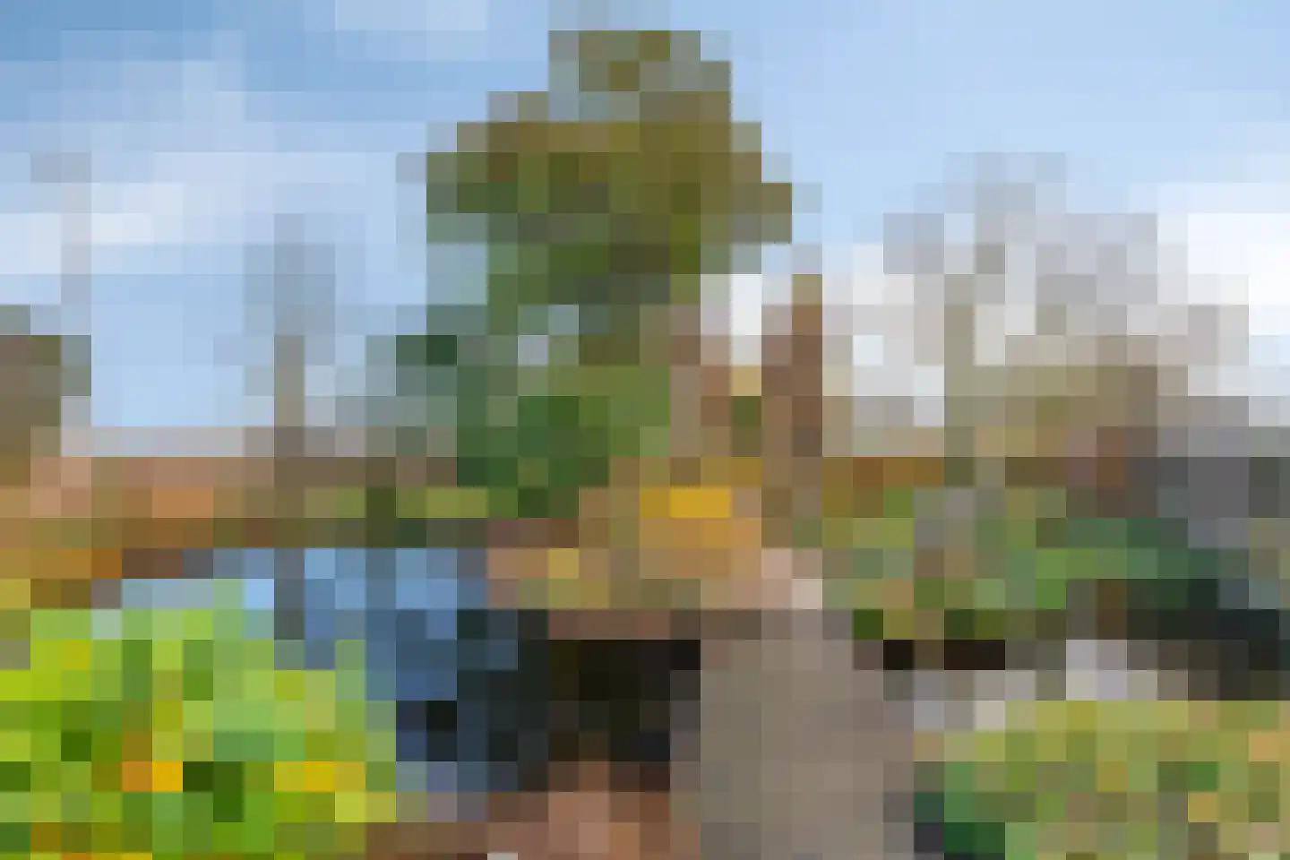 Schenkeldijk 9 Dinteloord thumbnail 56