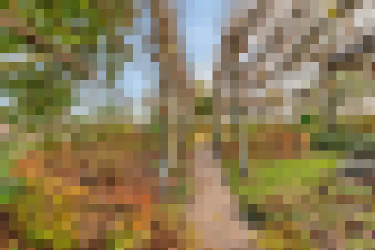 Schenkeldijk 9 Dinteloord thumbnail 57