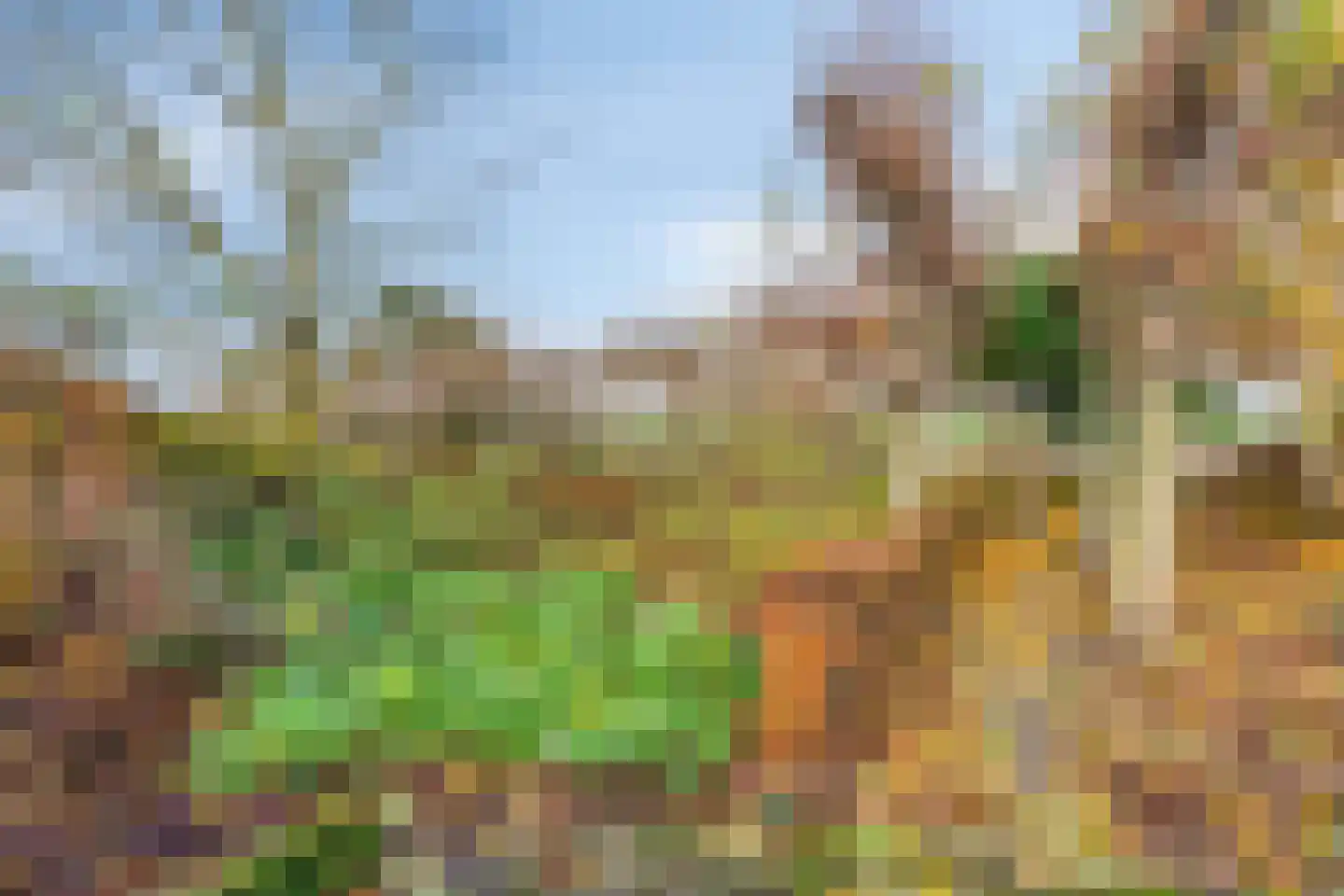 Schenkeldijk 9 Dinteloord thumbnail 58
