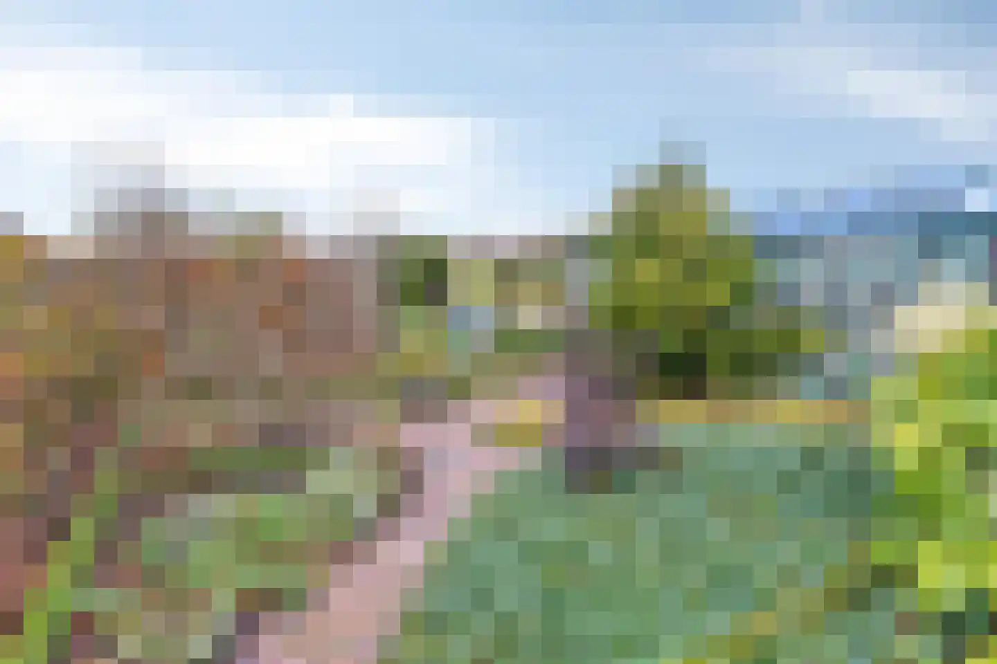 Schenkeldijk 9 Dinteloord thumbnail 59