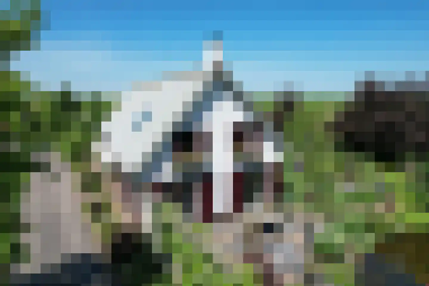 Schenkeldijk 9 Dinteloord thumbnail 6