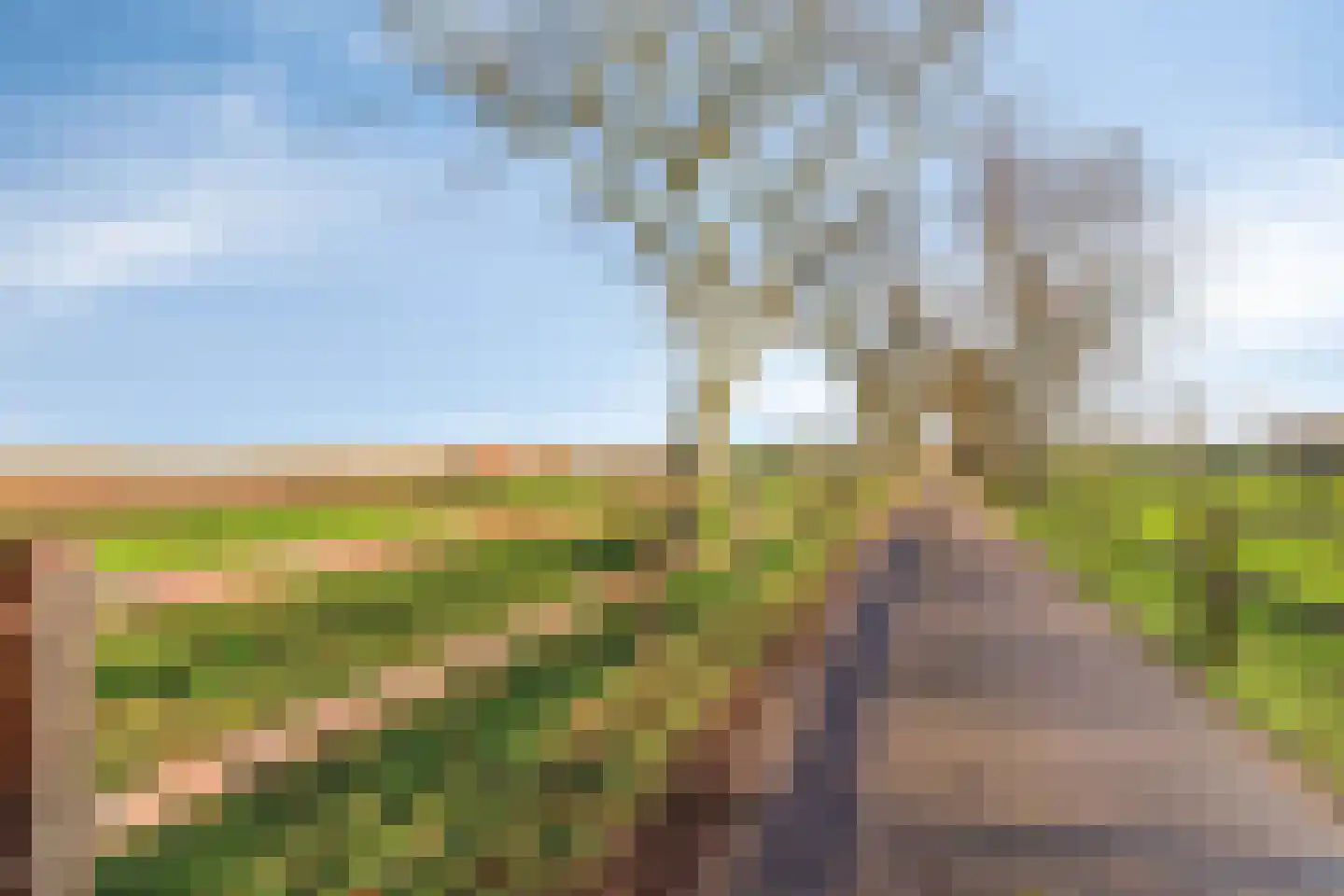 Schenkeldijk 9 Dinteloord thumbnail 69