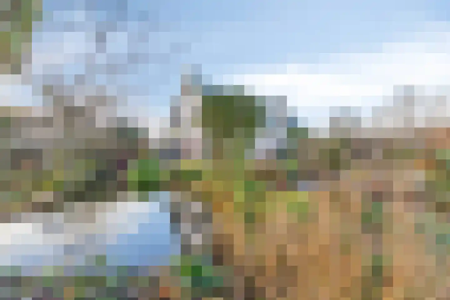 Schenkeldijk 9 Dinteloord thumbnail 73