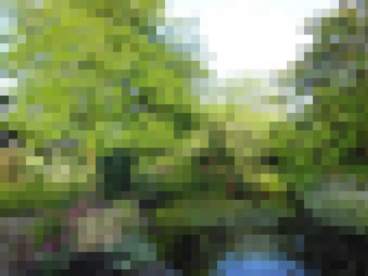 Schenkeldijk 9 Dinteloord thumbnail 77