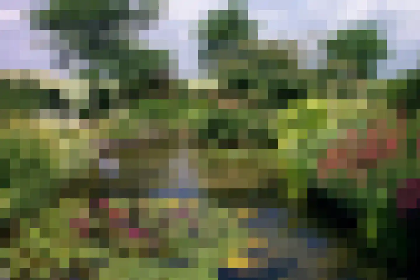 Schenkeldijk 9 Dinteloord thumbnail 80