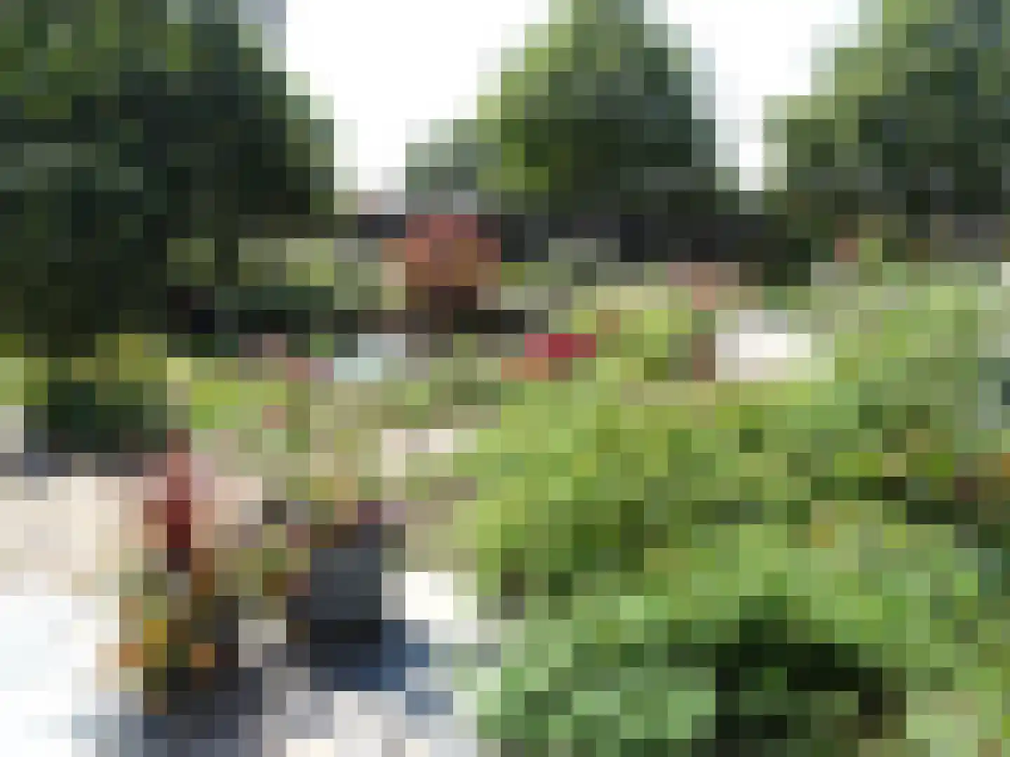 Schenkeldijk 9 Dinteloord thumbnail 81