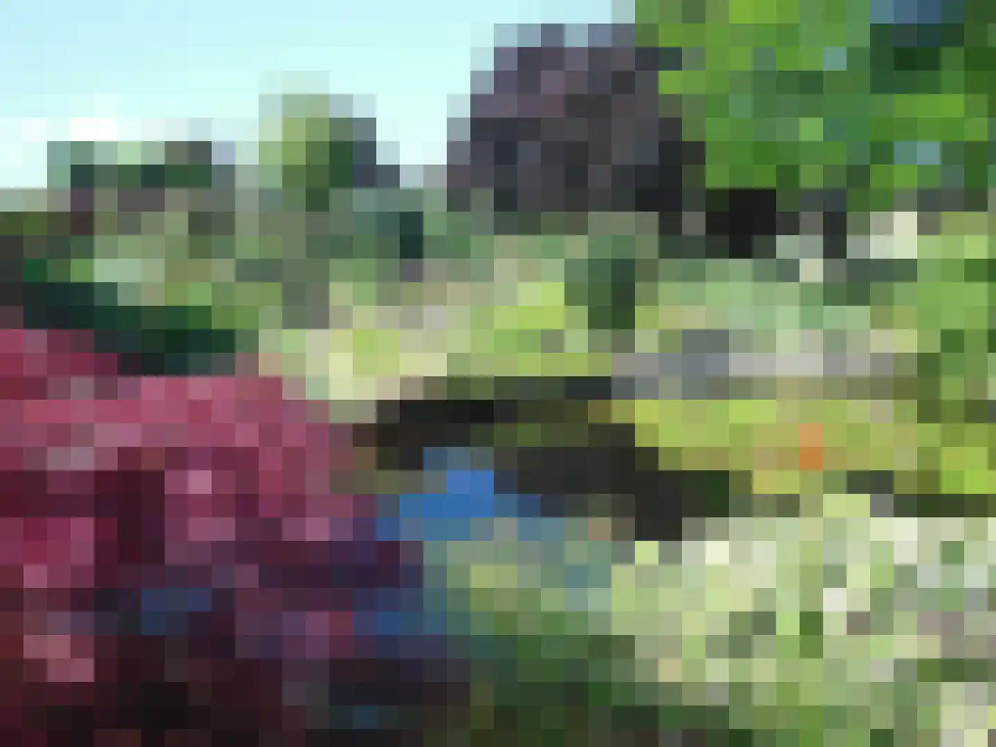 Schenkeldijk 9 Dinteloord thumbnail 82