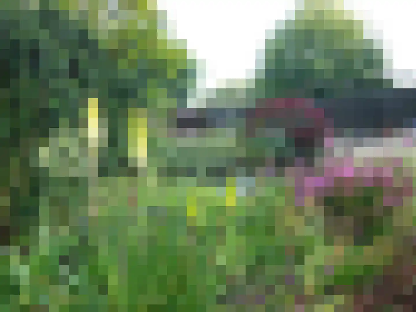Schenkeldijk 9 Dinteloord thumbnail 83