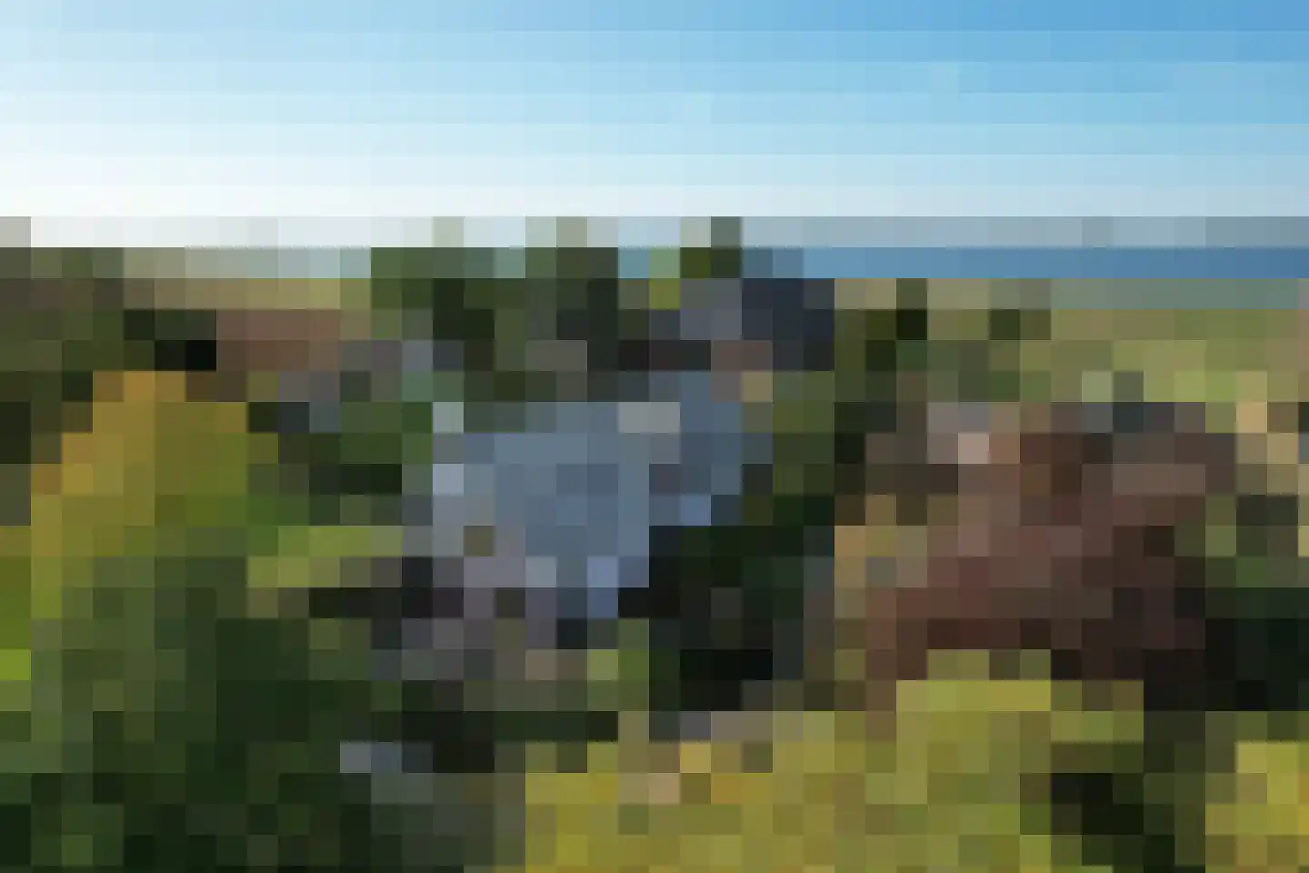 Schenkeldijk 9 Dinteloord thumbnail 87