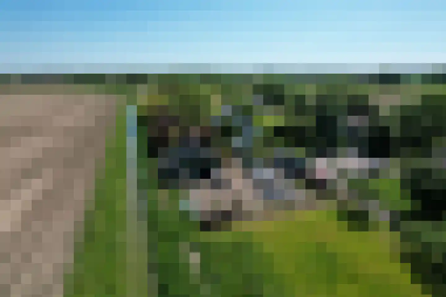 Schenkeldijk 9 Dinteloord thumbnail 89