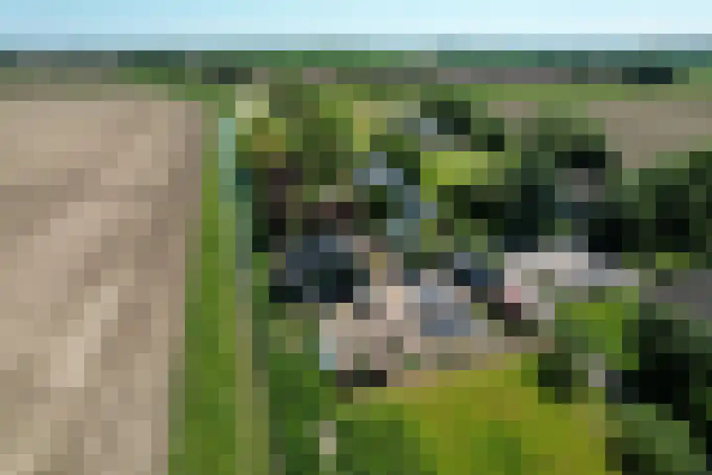 Schenkeldijk 9 Dinteloord thumbnail 90