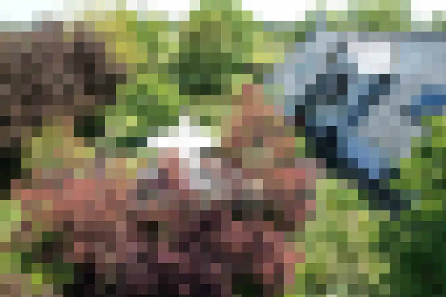 Schenkeldijk 9 Dinteloord thumbnail 92