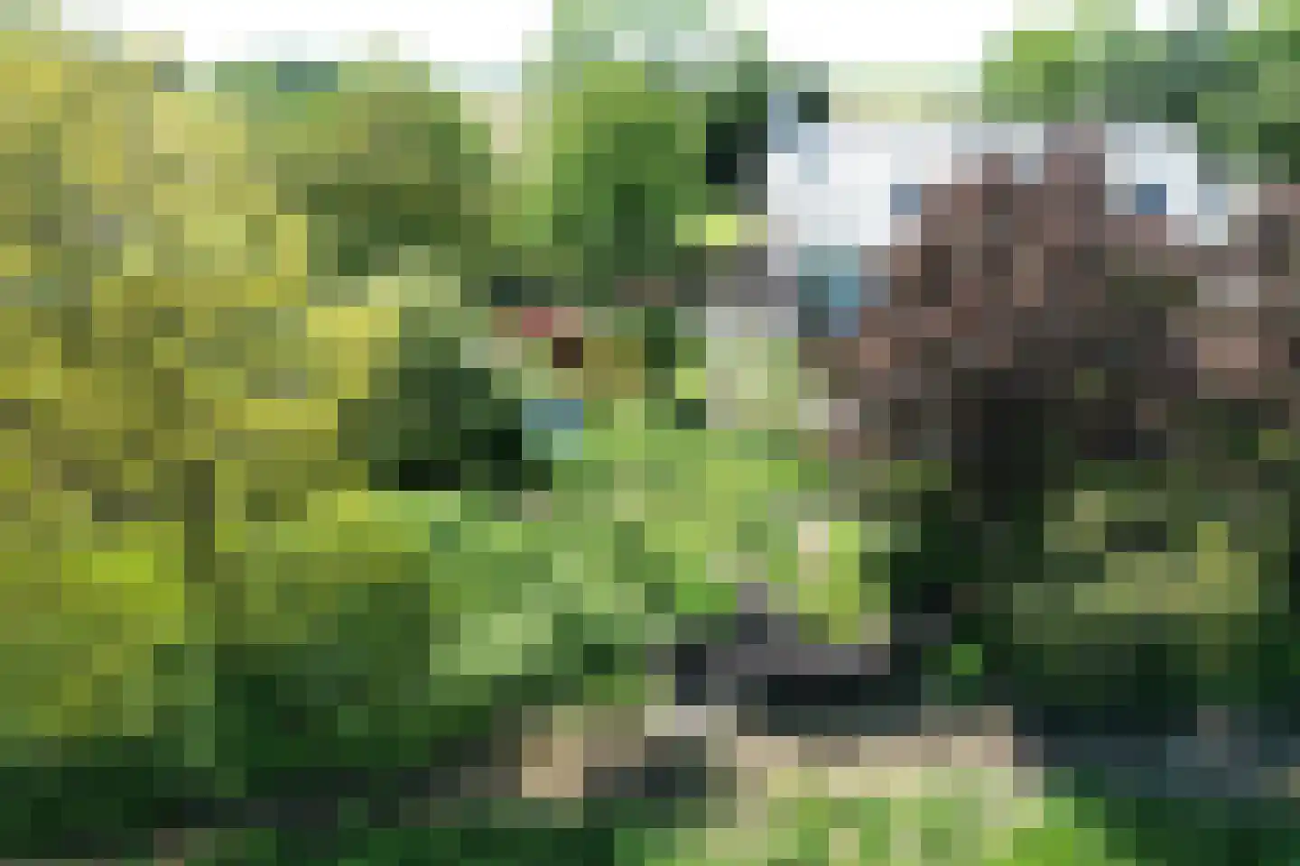 Schenkeldijk 9 Dinteloord thumbnail 93