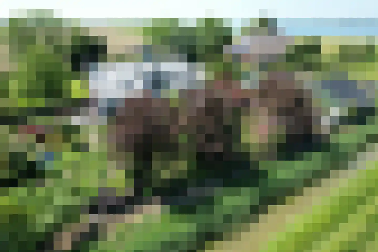 Schenkeldijk 9 Dinteloord thumbnail 94