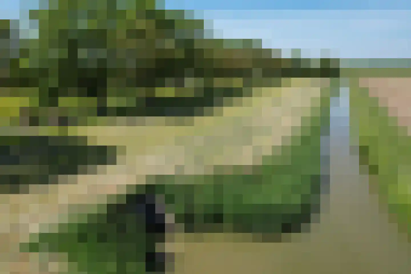 Schenkeldijk 9 Dinteloord thumbnail 95