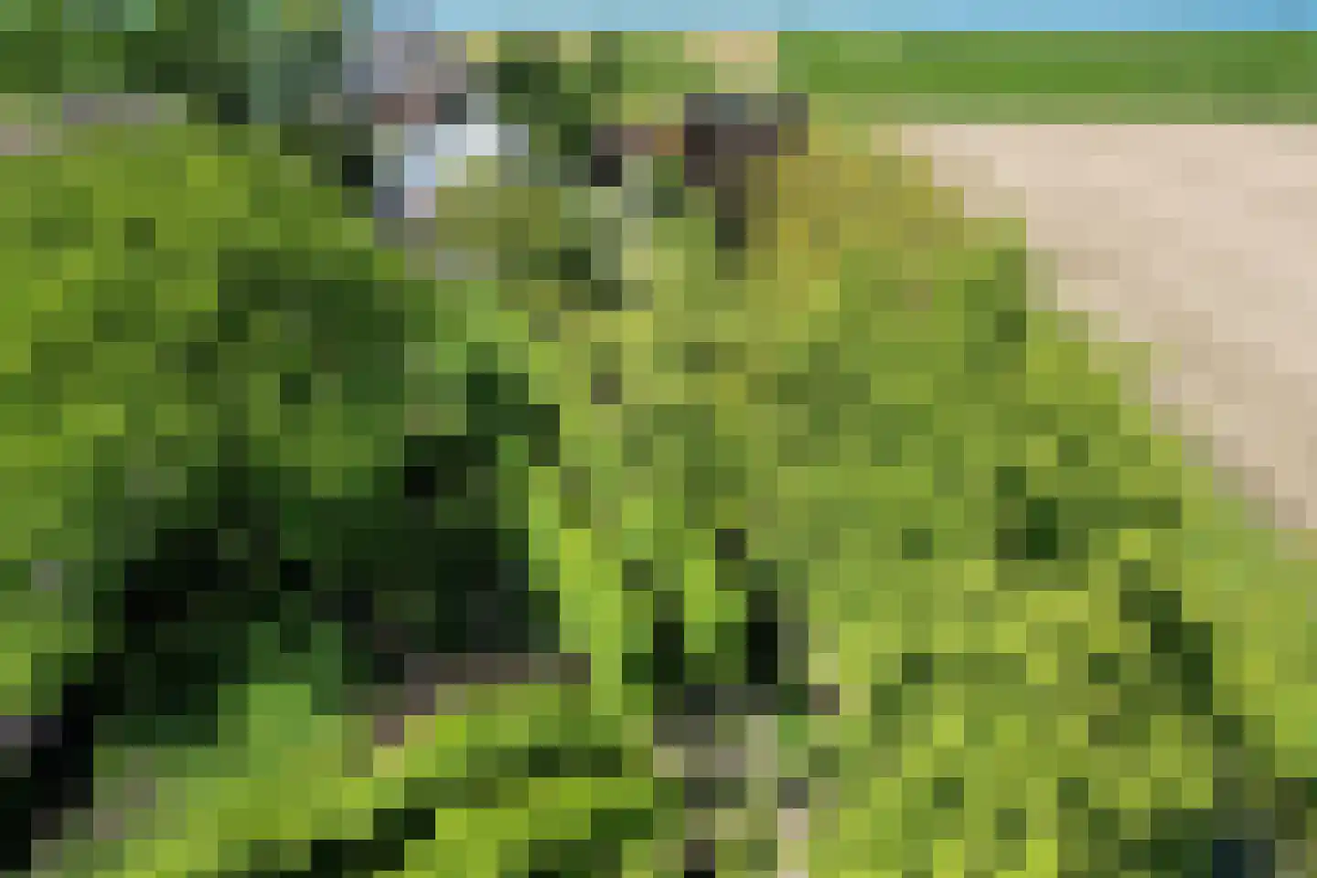Schenkeldijk 9 Dinteloord thumbnail 96