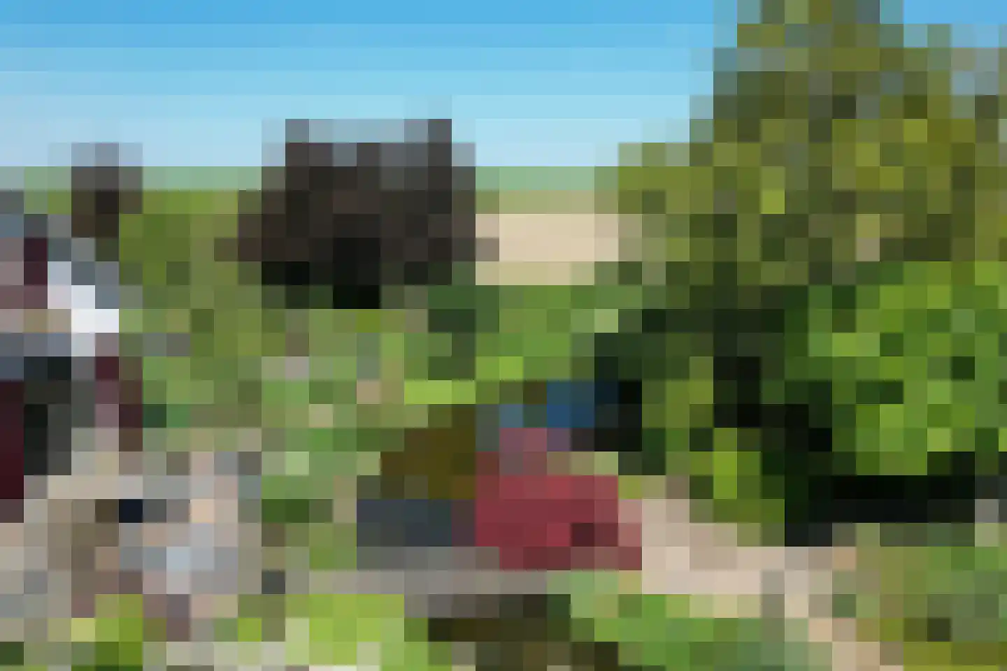 Schenkeldijk 9 Dinteloord thumbnail 98