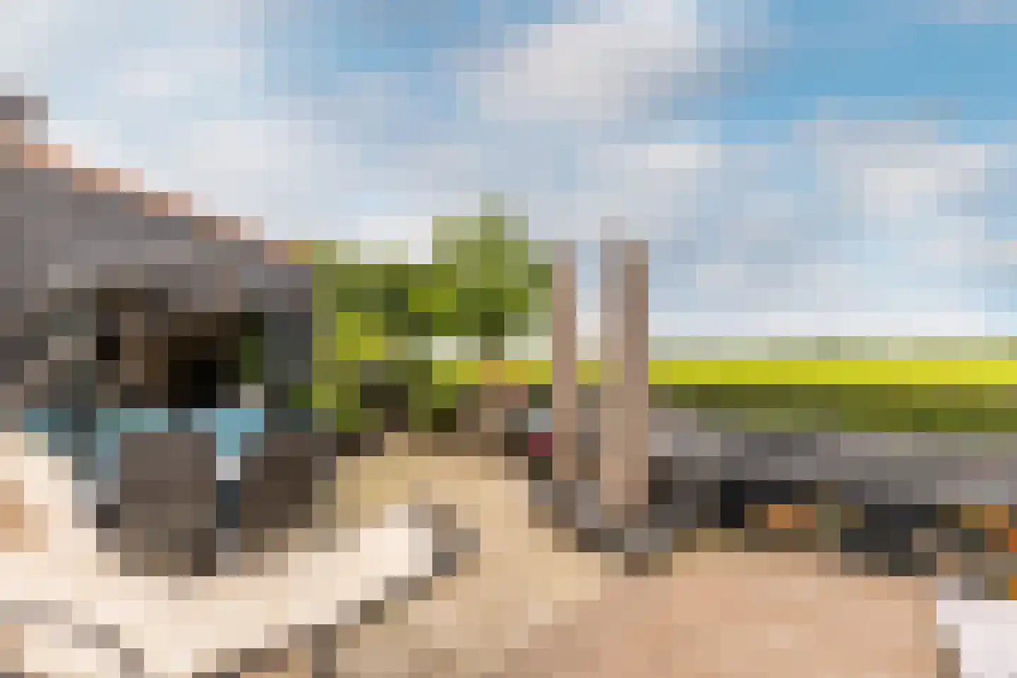 Schenkeldijk 96 's-Gravendeel thumbnail 10