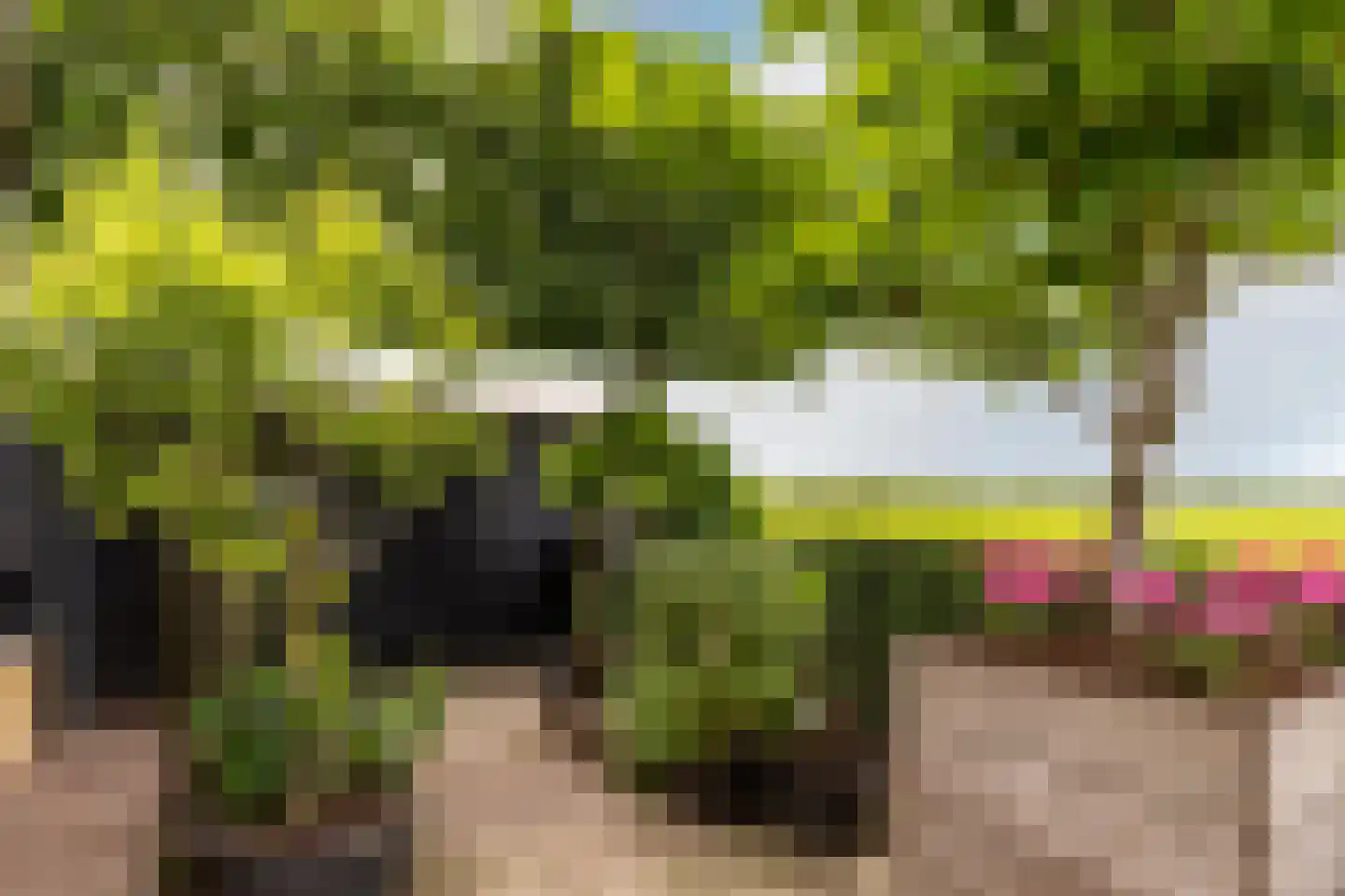 Schenkeldijk 96 's-Gravendeel thumbnail 11
