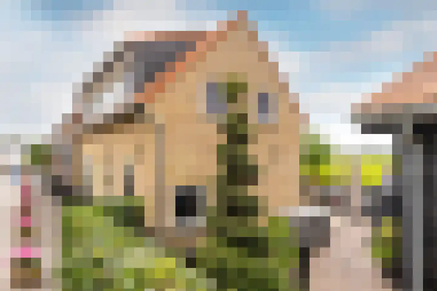 Schenkeldijk 96 's-Gravendeel thumbnail 13