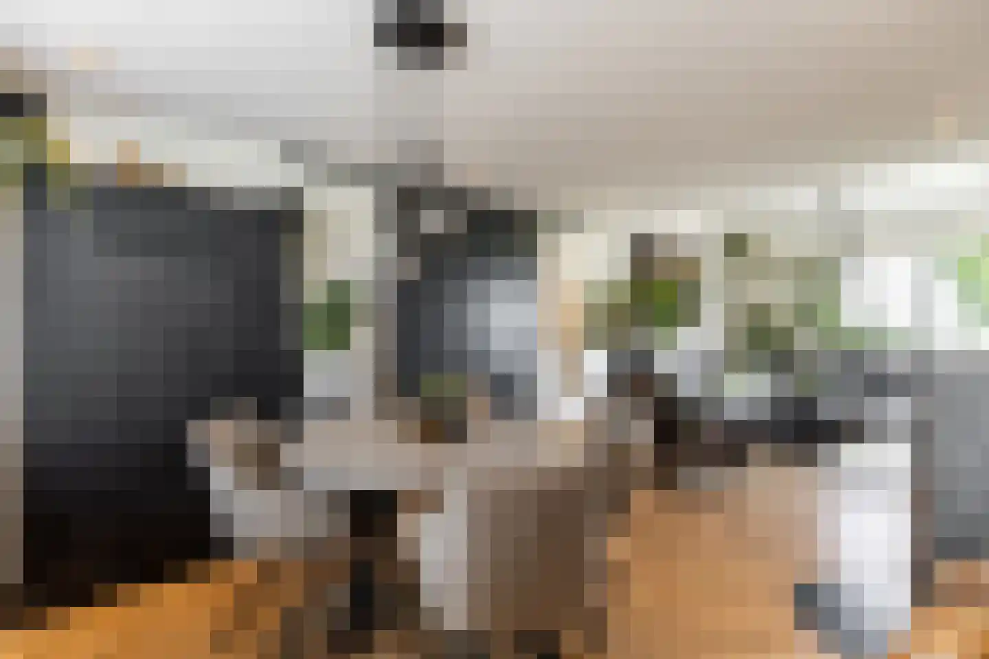 Schenkeldijk 96 's-Gravendeel thumbnail 19