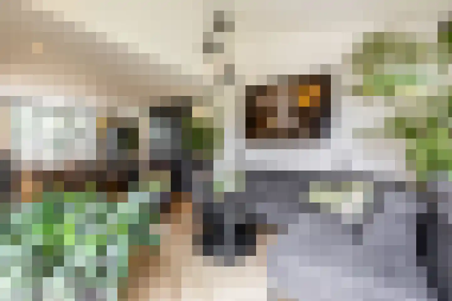 Schenkeldijk 96 's-Gravendeel thumbnail 21