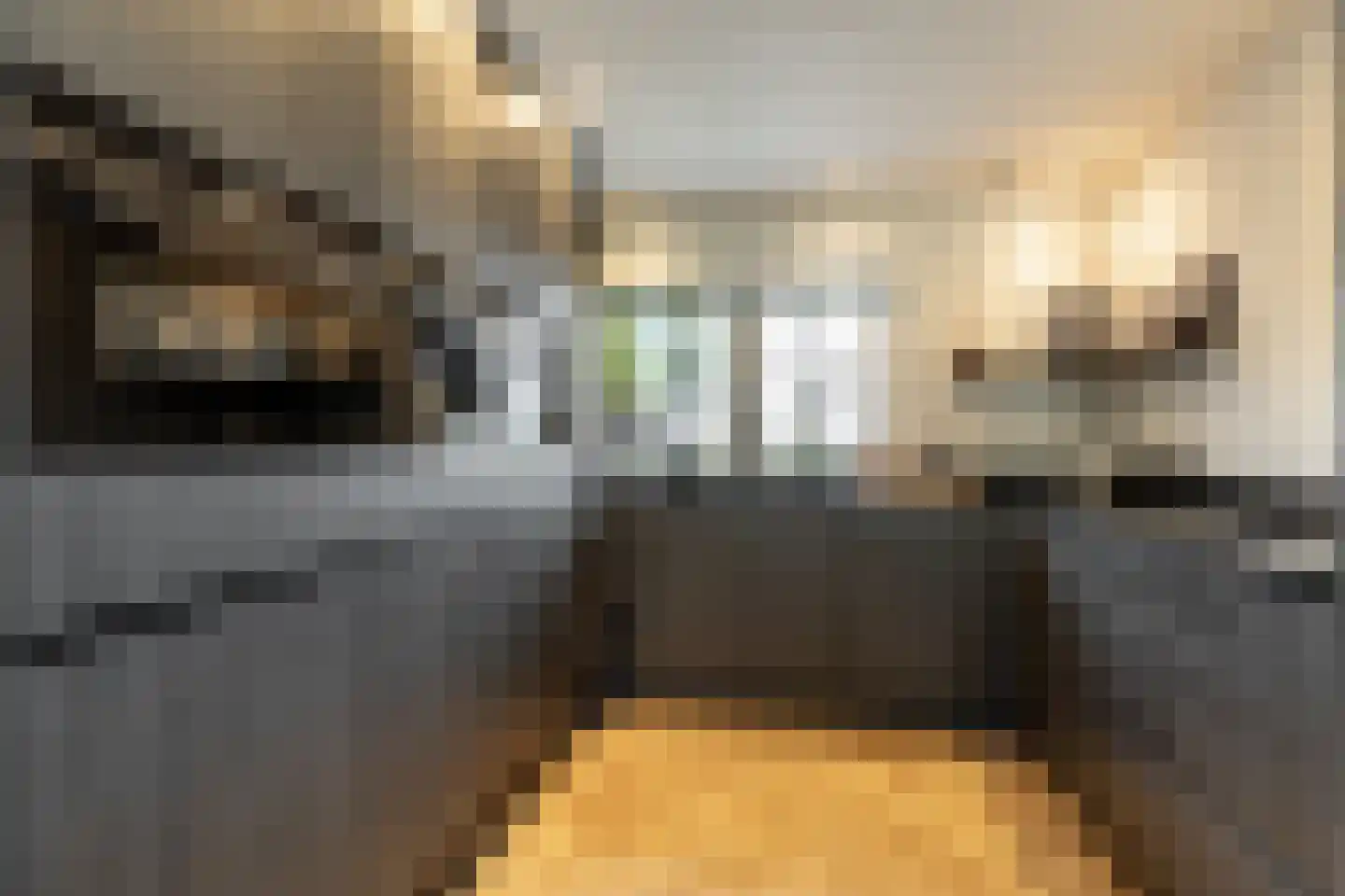 Schenkeldijk 96 's-Gravendeel thumbnail 24