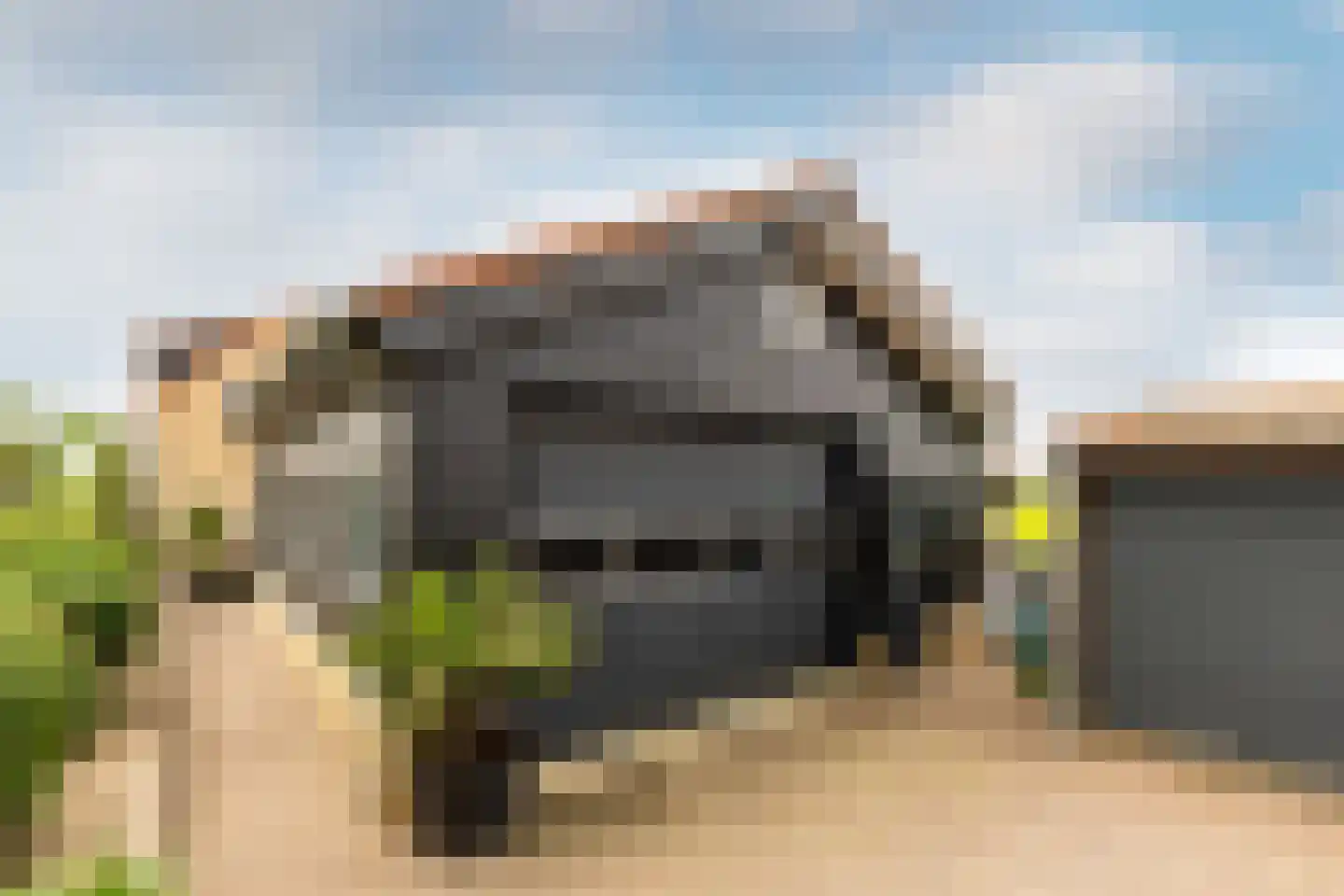 Schenkeldijk 96 's-Gravendeel thumbnail 39