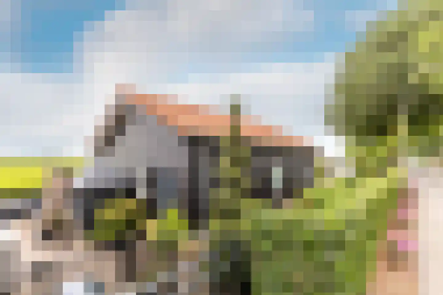 Schenkeldijk 96 's-Gravendeel thumbnail 4