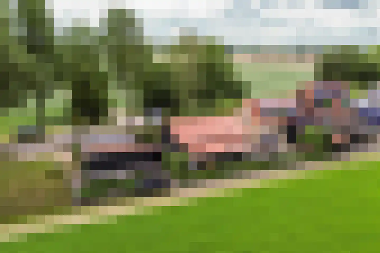 Schenkeldijk 96 's-Gravendeel thumbnail 42