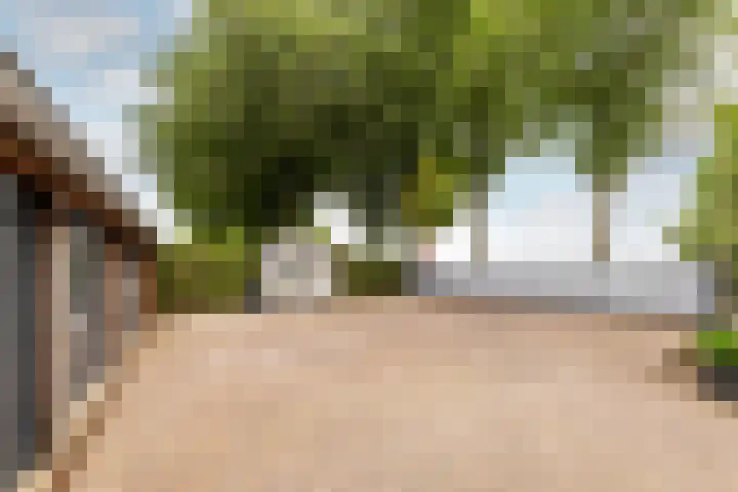 Schenkeldijk 96 's-Gravendeel thumbnail 5