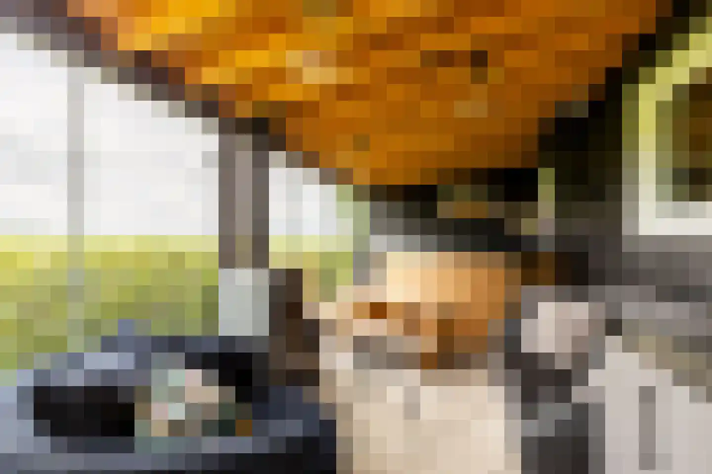 Schenkeldijk 96 's-Gravendeel thumbnail 8