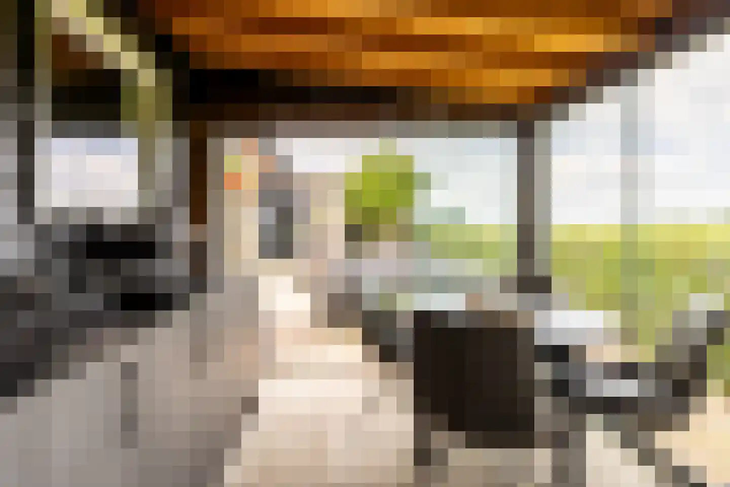 Schenkeldijk 96 's-Gravendeel thumbnail 9