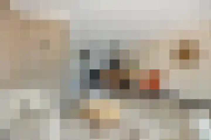 Schenkelkamp 23 Dussen thumbnail 10