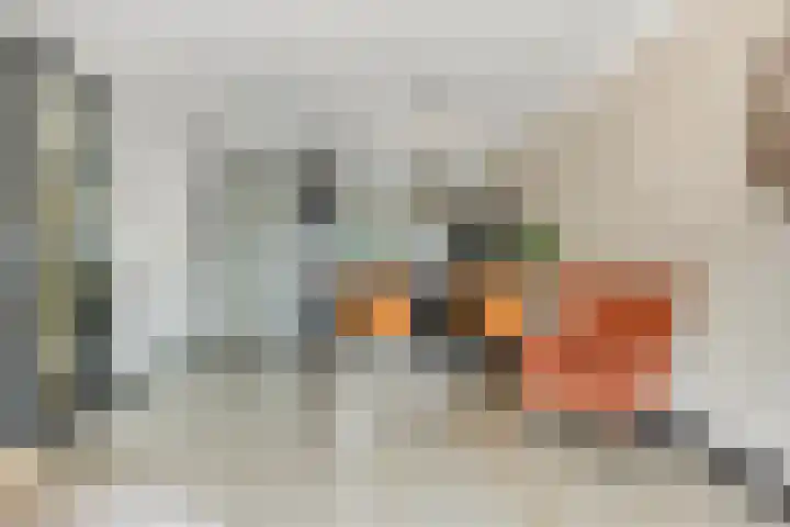 Schenkelkamp 23 Dussen thumbnail 11