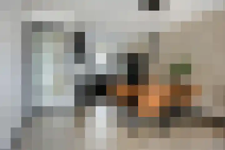 Schenkelkamp 23 Dussen thumbnail 12