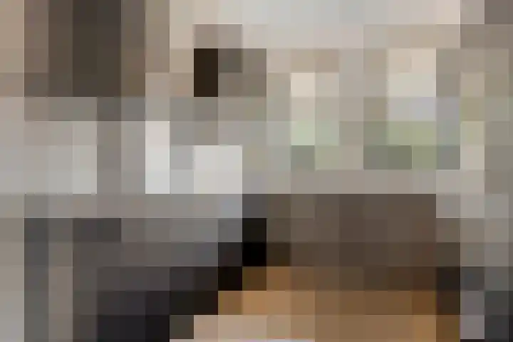 Schenkelkamp 23 Dussen thumbnail 15