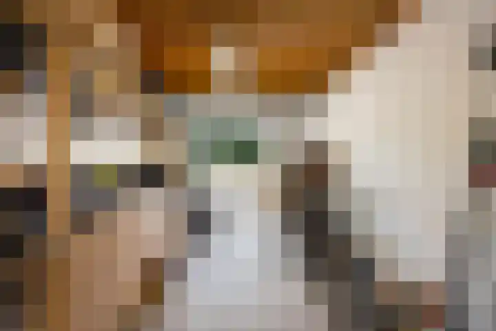 Schenkelkamp 23 Dussen thumbnail 17