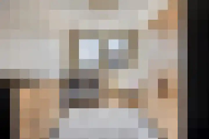 Schenkelkamp 23 Dussen thumbnail 23